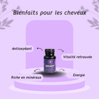 Shilajit 30 gélules